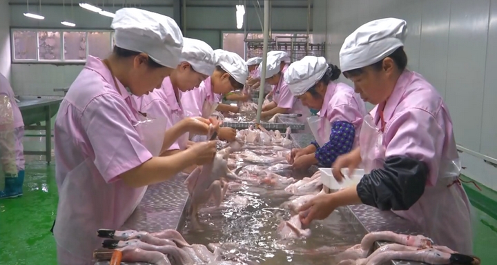 黔东南：从育种到餐桌三穗鸭产业“链”结10亿元(图3)