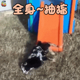 开云体育全身抽搐男子紧急抢救！严重可致死天津人餐桌上常见(图1)