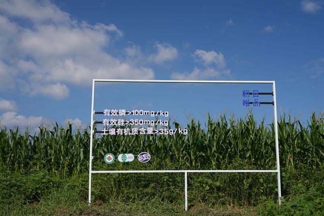 张店鲁中家具城连信办公家具商行成交淄博高新区发改局2024年办公椅采购金额990元(图10)