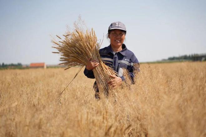 张店鲁中家具城连信办公家具商行成交淄博高新区发改局2024年办公椅采购金额990元(图6)