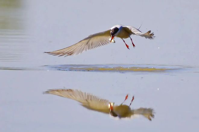 人民网直播跟冬天约好了去湟源！看一颗沙棘如何从田间到餐桌(图8)