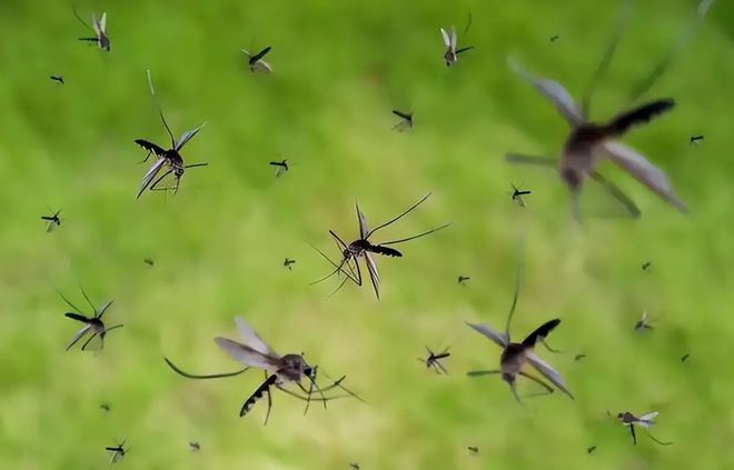 人民网直播跟冬天约好了去湟源！看一颗沙棘如何从田间到餐桌(图1)