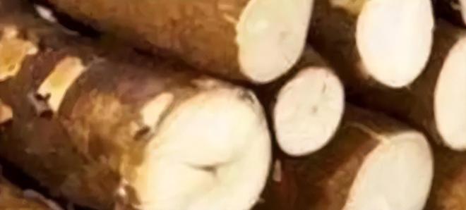 潜伏餐桌的杀手：150克就能致命却被端上餐桌至今仍大量种植(图4)