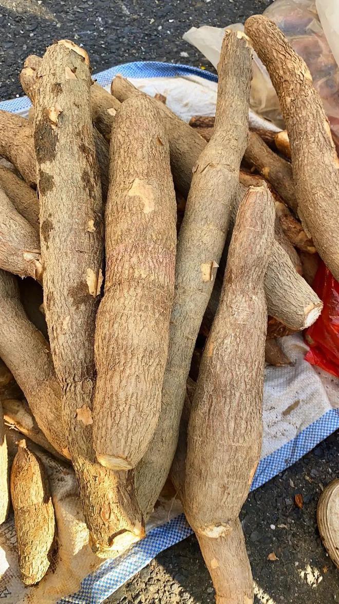 潜伏餐桌的杀手：150克就能致命却被端上餐桌至今仍大量种植(图20)