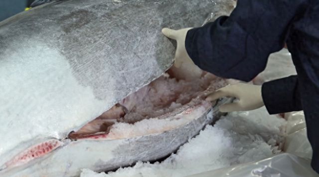 马耳他金枪鱼、尼加拉瓜牛肉、几内亚比绍腰果……从展台走向餐桌的故事还在继续(图1)