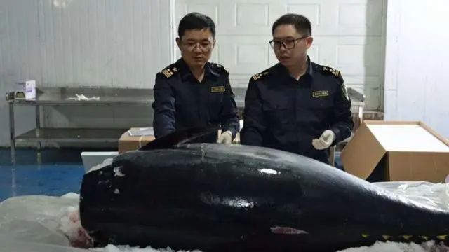 马耳他金枪鱼、尼加拉瓜牛肉、几内亚比绍腰果……从展台走向餐桌的故事还在继续(图2)