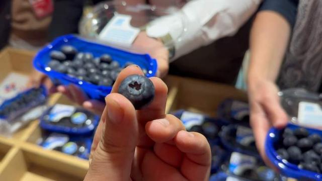 马耳他金枪鱼、尼加拉瓜牛肉、几内亚比绍腰果……从展台走向餐桌的故事还在继续(图4)