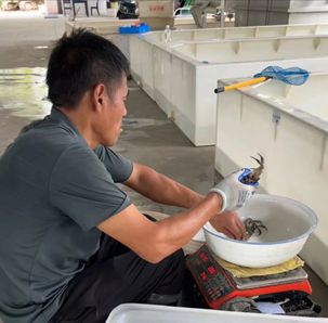 从蟹塘到餐桌：淘工厂赋能蟹博士产业升级(图3)