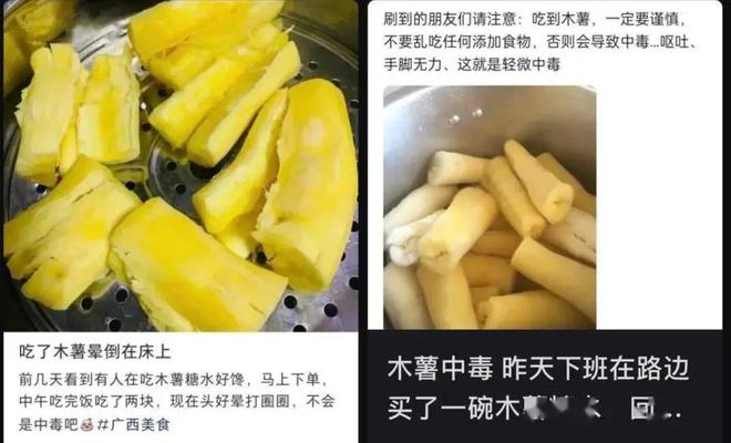 kaiyun体育全站1千克就能致命但却被当成“主食”端上餐桌至今仍在大量种植(图12)