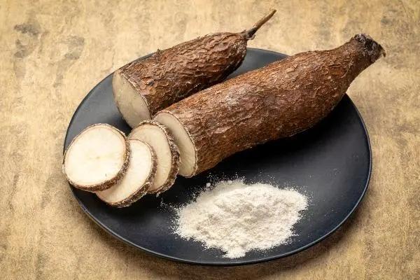 kaiyun体育全站1千克就能致命但却被当成“主食”端上餐桌至今仍在大量种植(图13)