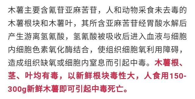 kaiyun体育全站1千克就能致命但却被当成“主食”端上餐桌至今仍在大量种植(图14)