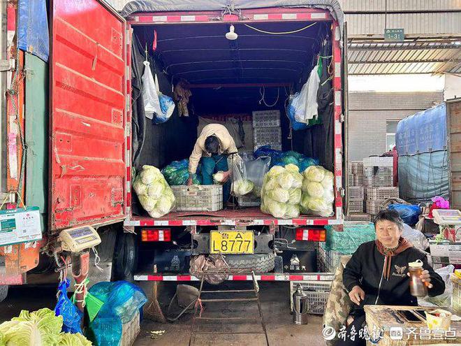 kaiyun体育全站大白菜成市民秋冬餐桌“香饽饽”济南市民“菜篮子”物丰价惠(图2)