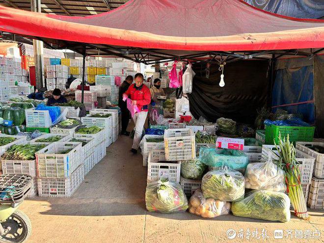 kaiyun体育全站大白菜成市民秋冬餐桌“香饽饽”济南市民“菜篮子”物丰价惠(图1)