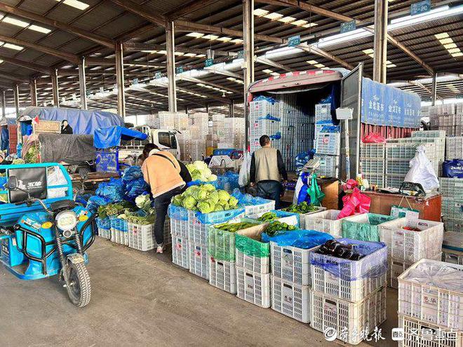 kaiyun体育全站大白菜成市民秋冬餐桌“香饽饽”济南市民“菜篮子”物丰价惠(图3)