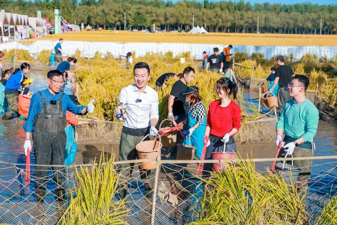 稻花香里说节粮2024世界粮食日的多元创新(图3)