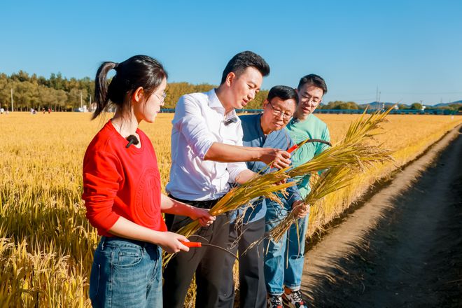 稻花香里说节粮2024世界粮食日的多元创新(图6)