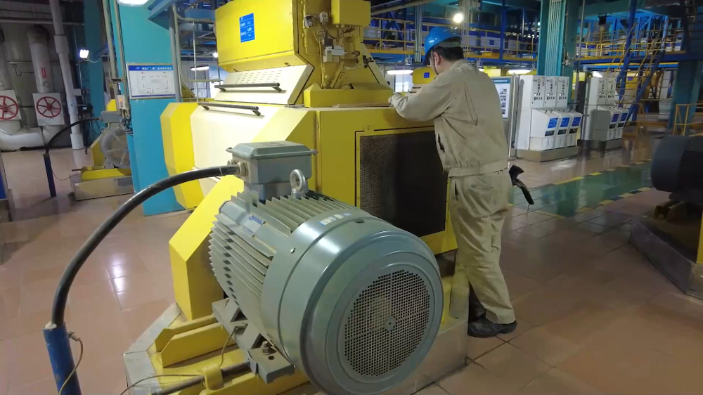 全球连线｜从产地到餐桌巴西大豆“飘洋过海”的中国之旅(图1)