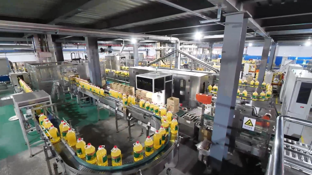 全球连线｜从产地到餐桌巴西大豆“飘洋过海”的中国之旅(图2)