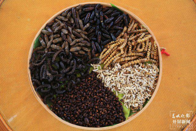 开屏策划｜云南人的餐桌到底有多“野”？胆小慎点！(图7)