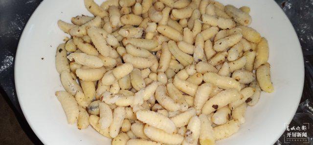 开屏策划｜云南人的餐桌到底有多“野”？胆小慎点！(图2)