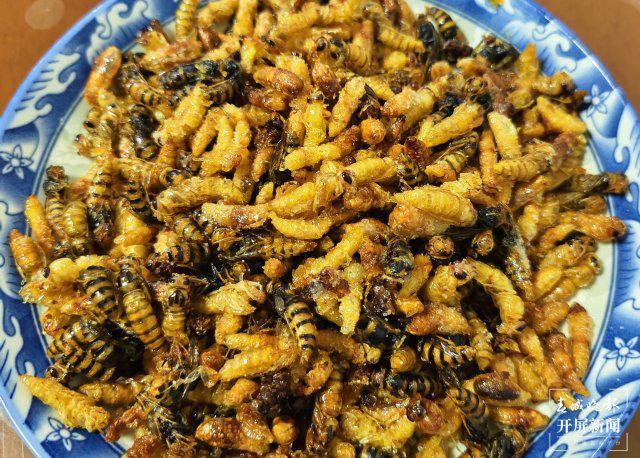 开屏策划｜云南人的餐桌到底有多“野”？胆小慎点！(图1)