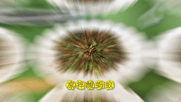 开屏策划｜云南人的餐桌到底有多“野”？胆小慎点！(图11)