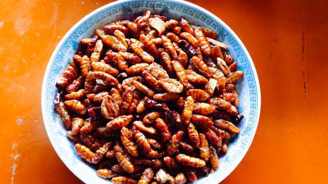 开屏策划｜云南人的餐桌到底有多“野”？胆小慎点！(图12)