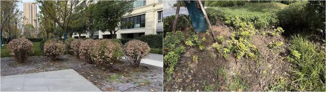 2024年还有谁记得曾经的“狠人”融创境与宅装修报告(图12)