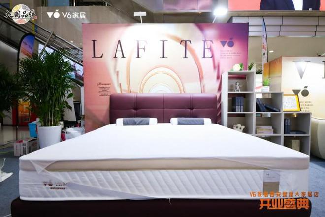 V6家居西安整屋大家居店开业以大师设计引领时尚生活方式(图9)