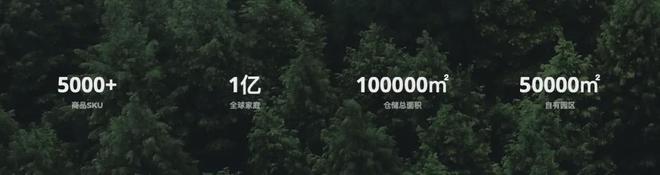 知名品牌被传暴雷老板跑路员工原地凌乱！真相如何？(图7)