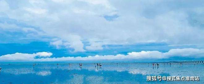 「上实听海」网站2025「上实听海」楼盘详情-上海房天下(图4)