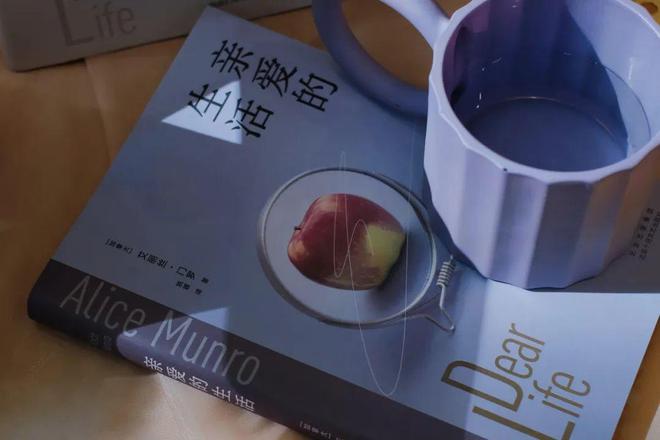 2024最后一天我顿悟了生活的真相开云体育(图2)