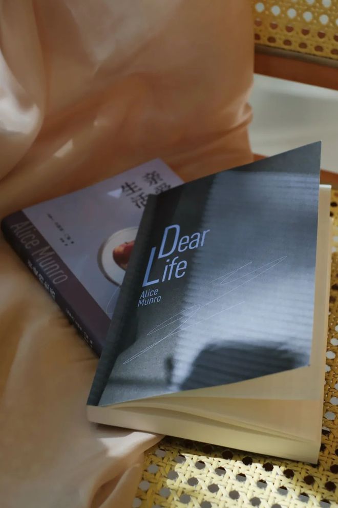 2024最后一天我顿悟了生活的真相开云体育(图4)