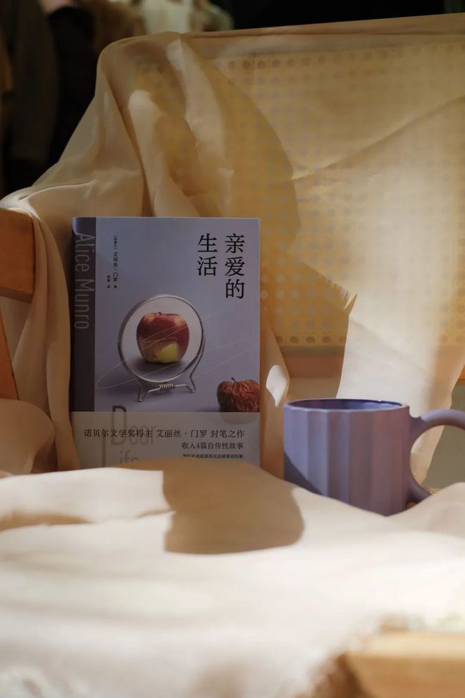 2024最后一天我顿悟了生活的真相开云体育(图3)