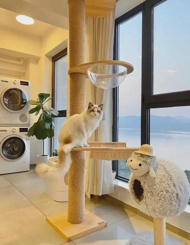 开云体育未来客厅设计新趋势这届年轻人迫不及待已早早安排上！(图3)