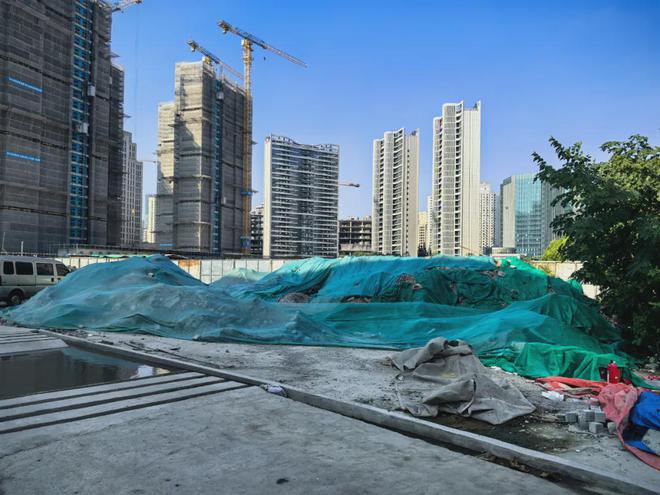 ®金海汀云台网站曹路金海汀云台售楼处层高建筑类型(图2)