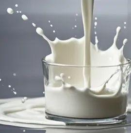 kaiyun体育全站双峰骆驼奶沿着丝路走来登上现代餐桌新舞台！(图2)