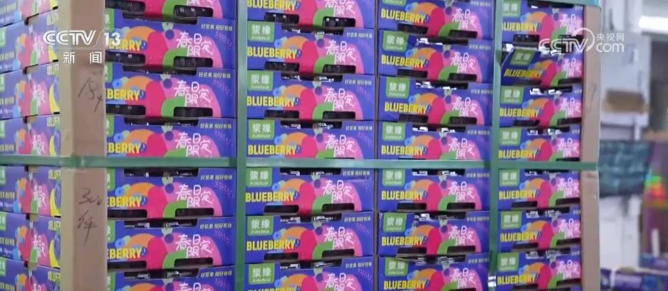 水果刺客→亲民爆款科技为百姓“果盘子”注入“鲜”力量(图1)