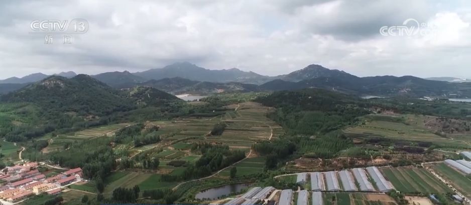 水果刺客→亲民爆款科技为百姓“果盘子”注入“鲜”力量(图5)