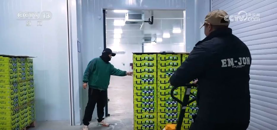 水果刺客→亲民爆款科技为百姓“果盘子”注入“鲜”力量(图11)