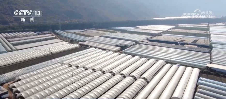 水果刺客→亲民爆款科技为百姓“果盘子”注入“鲜”力量(图10)