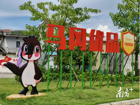 开云体育马冈鹅变“白天鹅”：霸占广东烧鹅70%市场的鹅界顶流(图7)