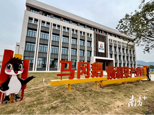 开云体育马冈鹅变“白天鹅”：霸占广东烧鹅70%市场的鹅界顶流(图8)