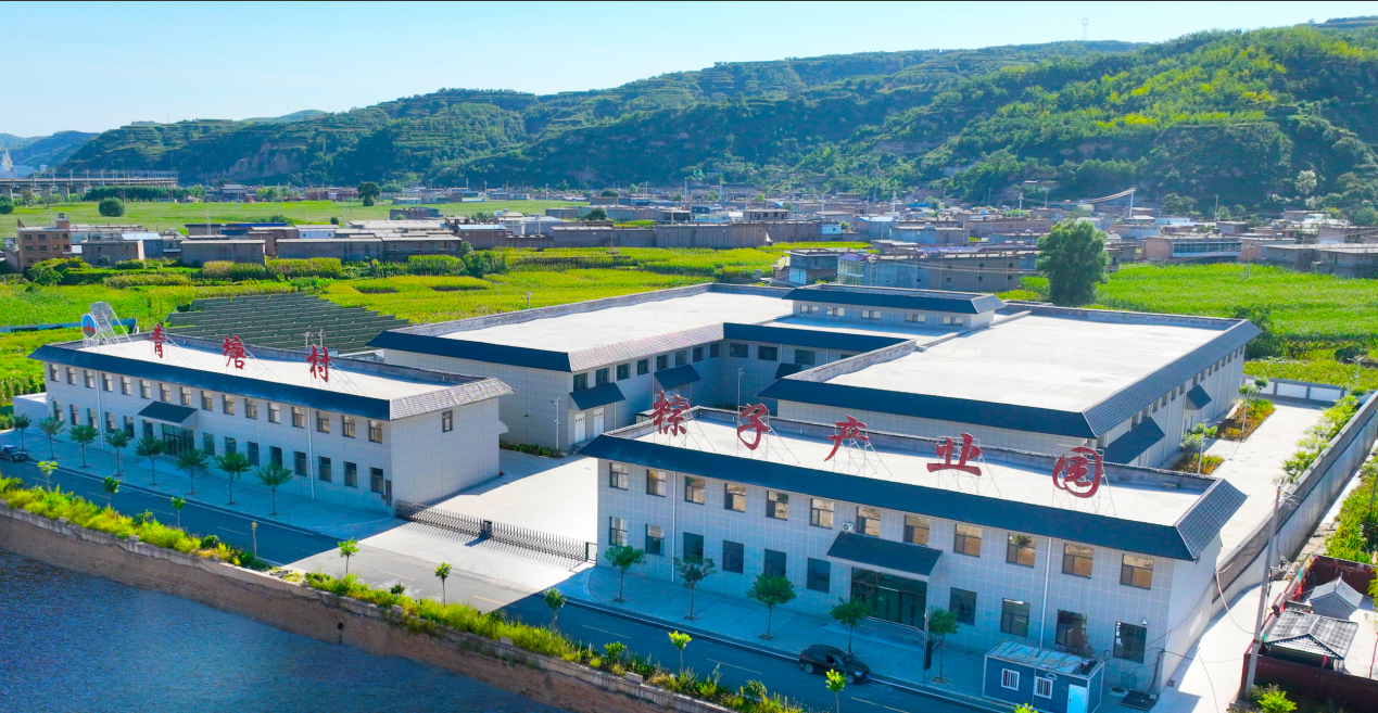 临县“青塘村”粽子“上新”“龙舟粽”四季都能上饭桌了(图2)