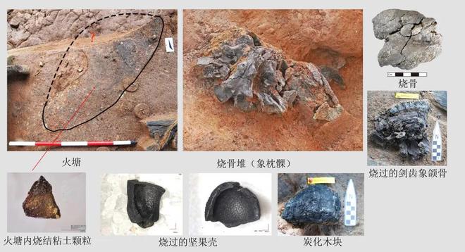 六万年前的川味密码：解码濛溪河人的餐桌与生活图景kaiyun体育全站(图3)