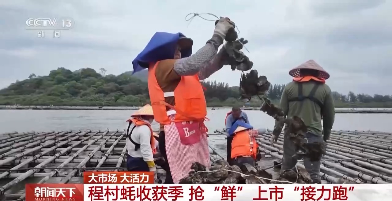 大市场大活力丨“五一”假日餐桌海鲜热度揭秘生蚝如何抢“鲜”出发？开云体育(图1)