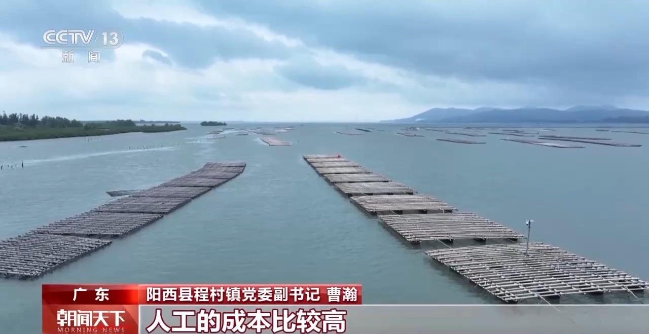 大市场大活力丨“五一”假日餐桌海鲜热度揭秘生蚝如何抢“鲜”出发？开云体育(图2)