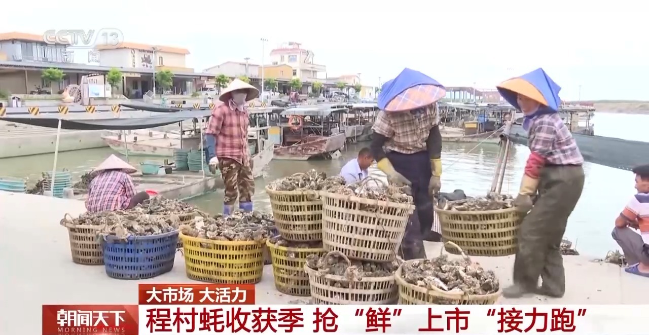 大市场大活力丨“五一”假日餐桌海鲜热度揭秘生蚝如何抢“鲜”出发？开云体育(图7)