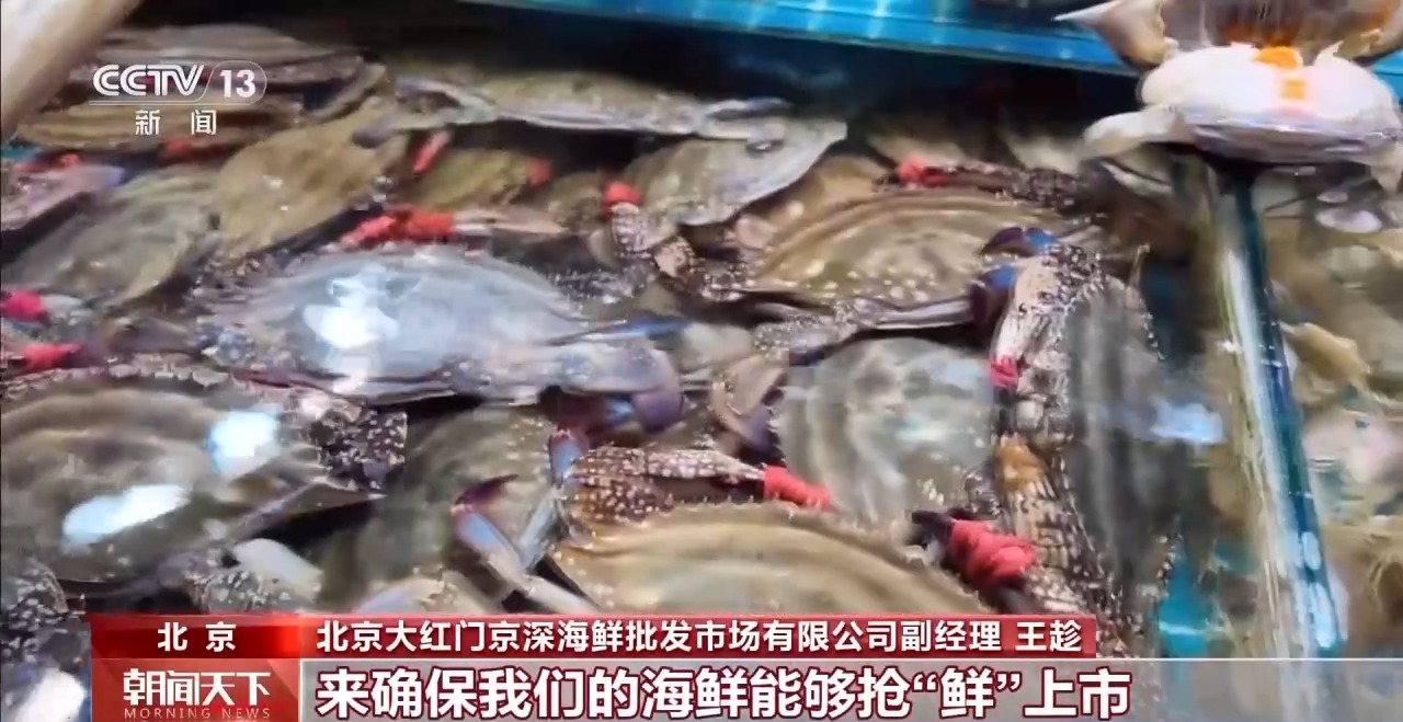 大市场大活力丨“五一”假日餐桌海鲜热度揭秘生蚝如何抢“鲜”出发？开云体育(图13)