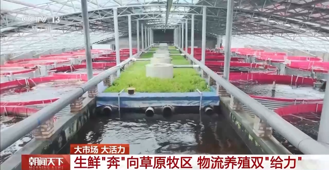 大市场大活力丨“五一”假日餐桌海鲜热度揭秘生蚝如何抢“鲜”出发？开云体育(图16)